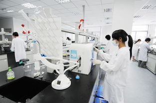 第三方檢測機構資質認證新規解讀 最新《意見稿》要點與技術咨詢指引